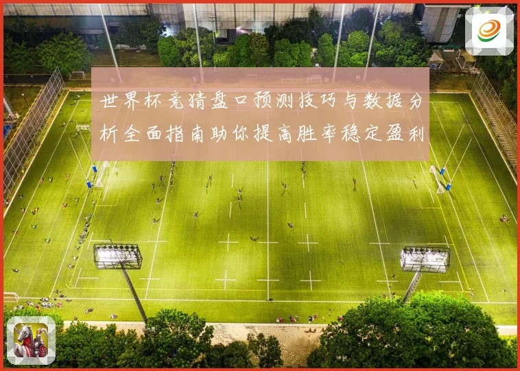 世界杯竞猜盘口预测技巧与数据分析全面指南助你提高胜率稳定盈利