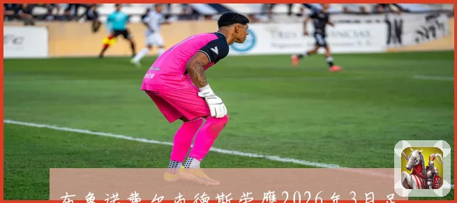 布鲁诺费尔南德斯荣膺2026年3月足坛MVP表现引人瞩目