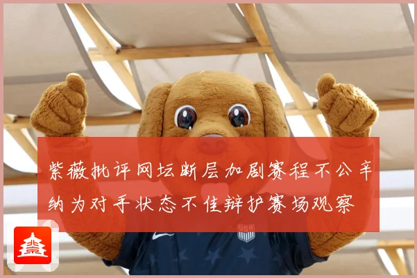 紫薇批评网坛断层加剧赛程不公辛纳为对手状态不佳辩护赛场观察